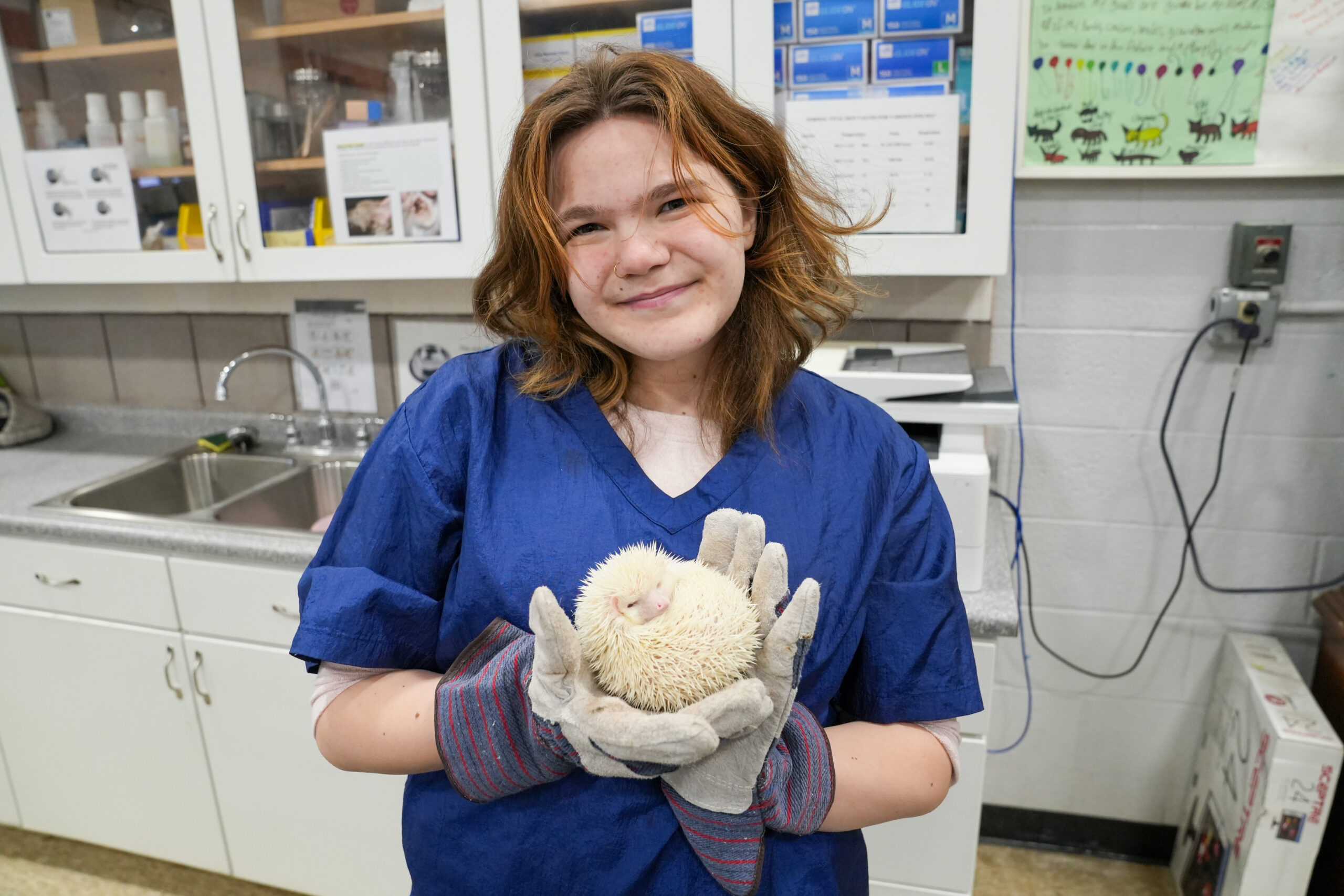 Photo of Young Professional in the Animal Science Veterinary Assistant Program